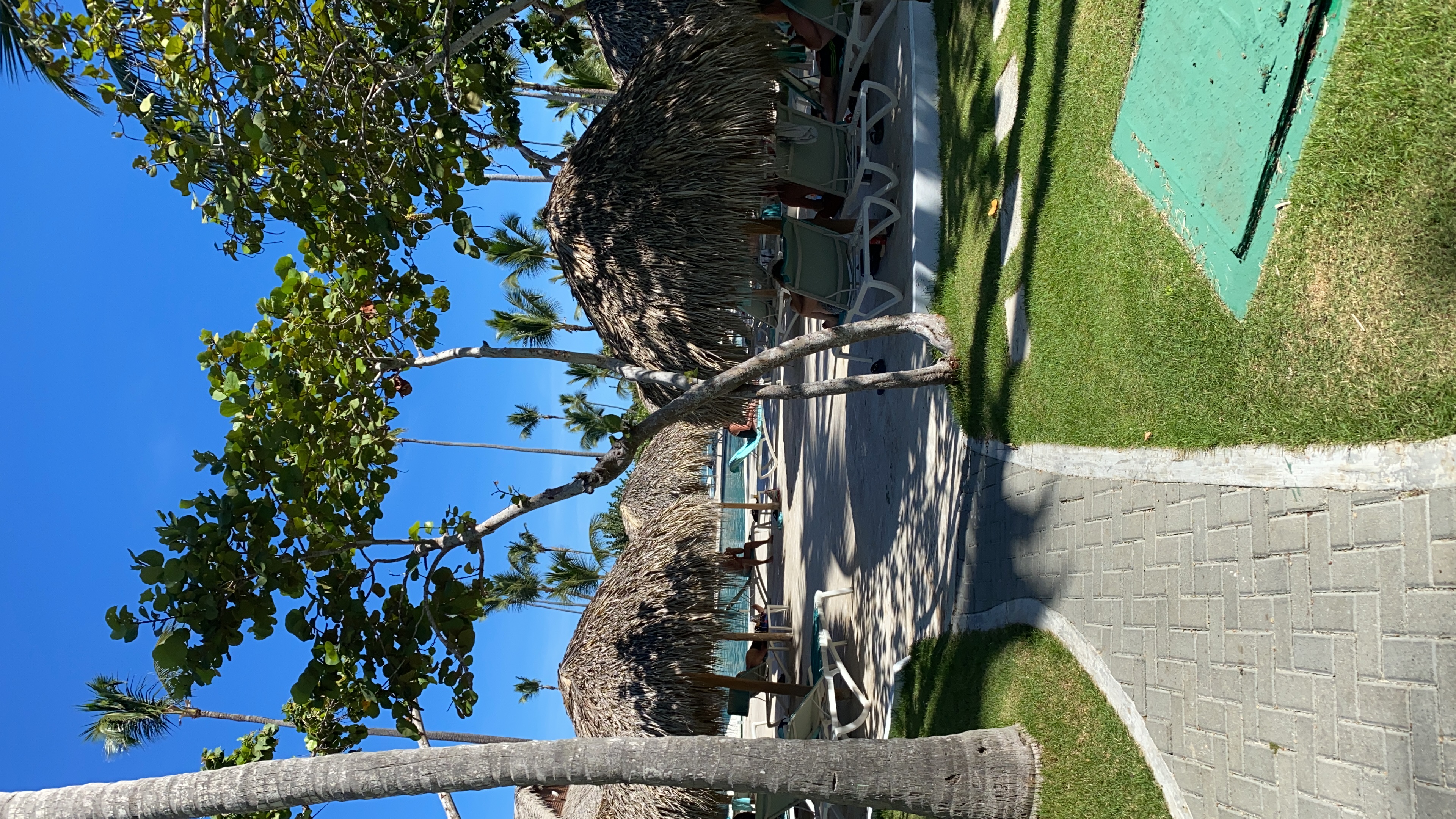 Фото Iberostar Selection Bavaro Suites