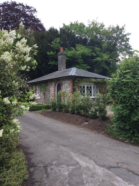 Фото The Running Horses