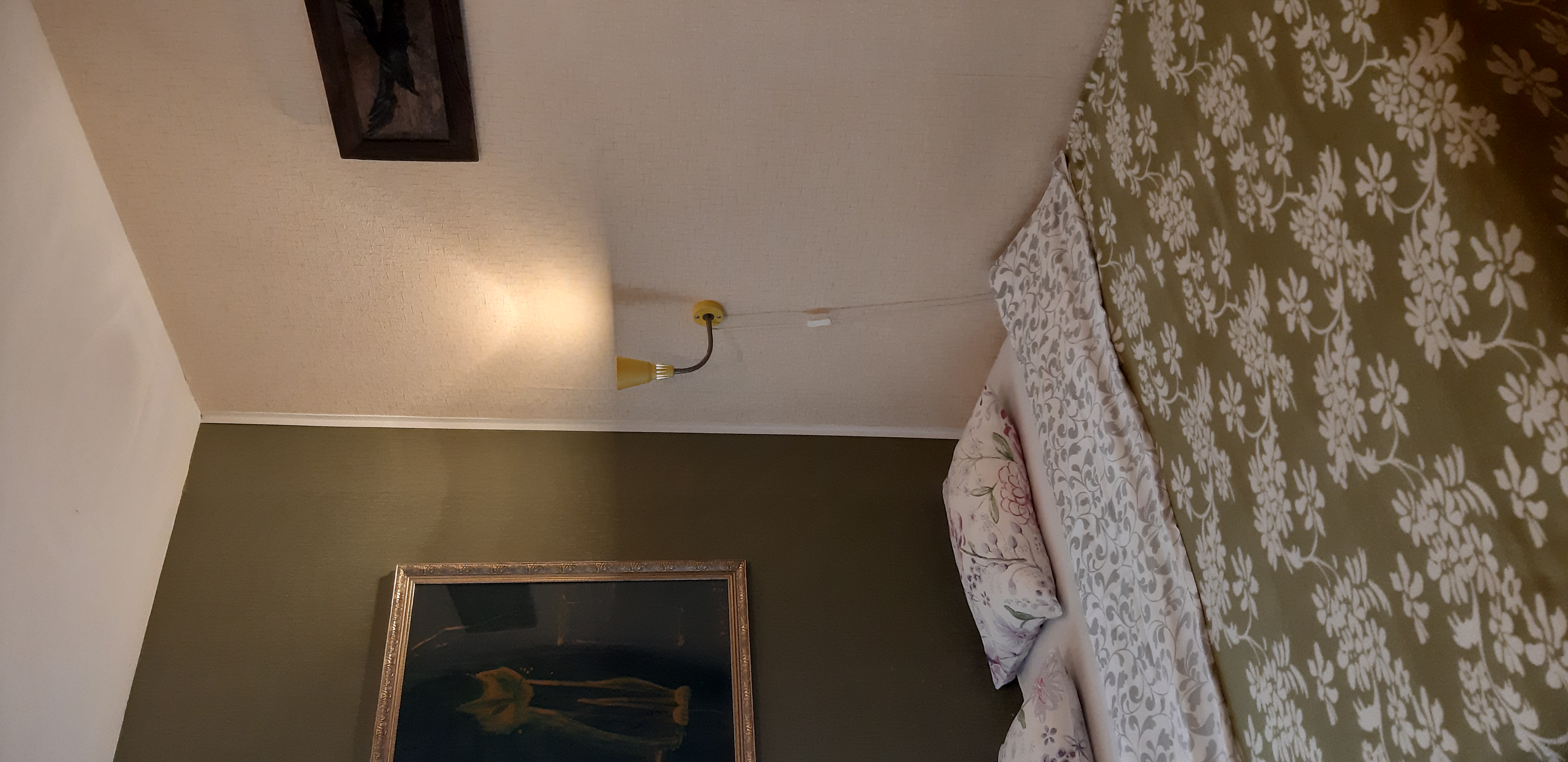 Фото Subcultura SPb