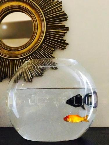 Фото Park Hotel Pineta