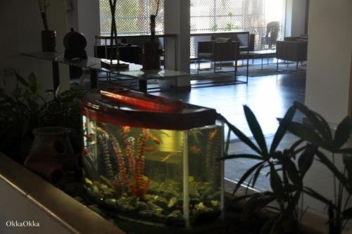 Фото Tabar Hotel