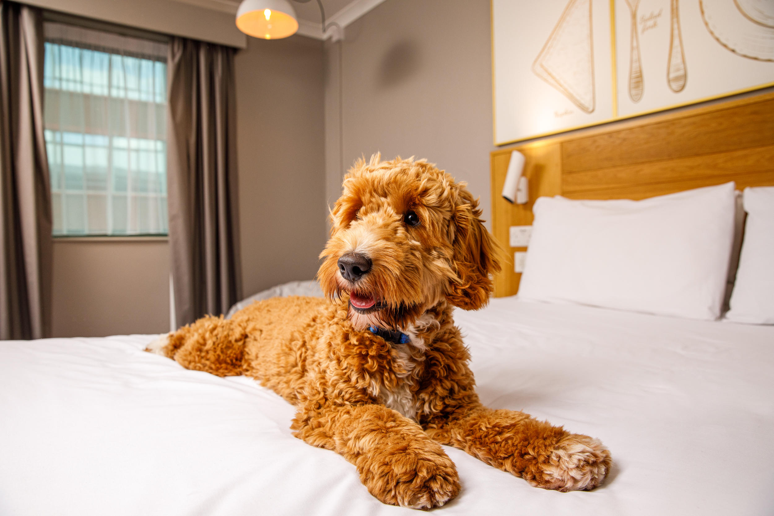 Фото ibis Styles Birmingham Centre Hotel