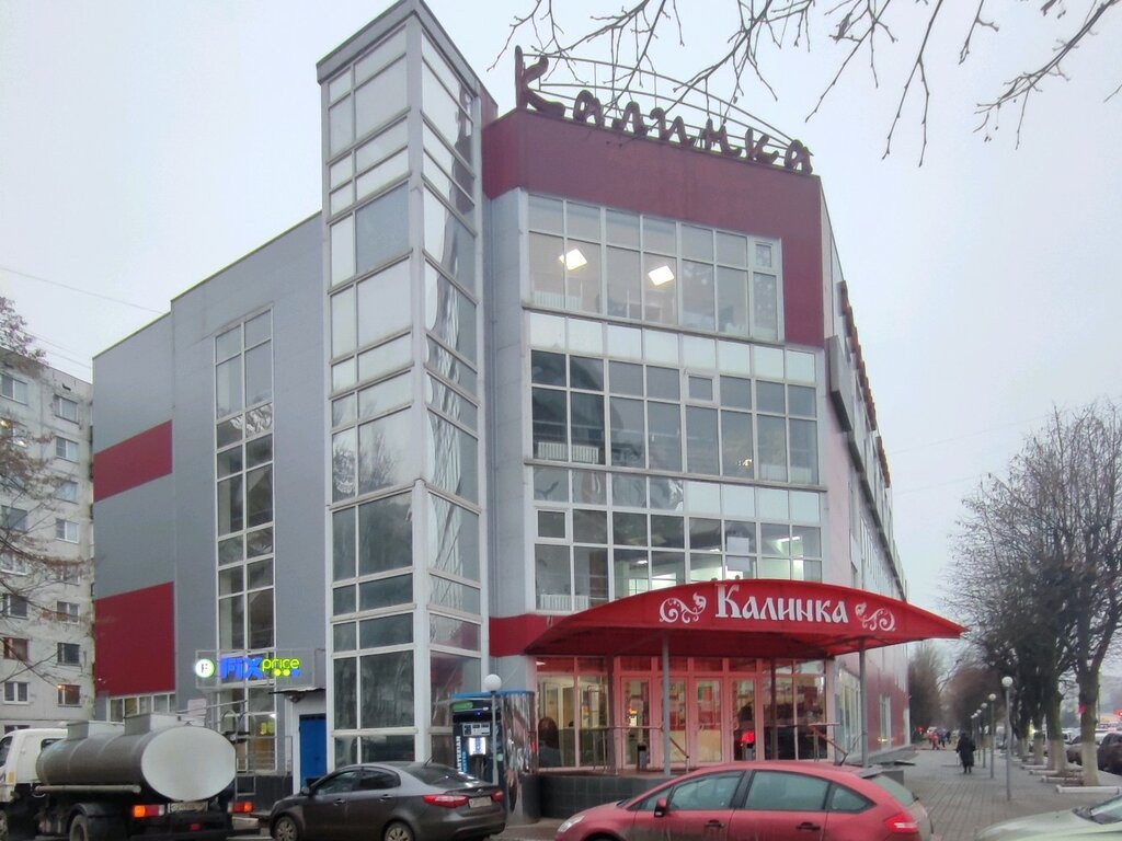 Home goods store Fix Price, Voronezh, photo