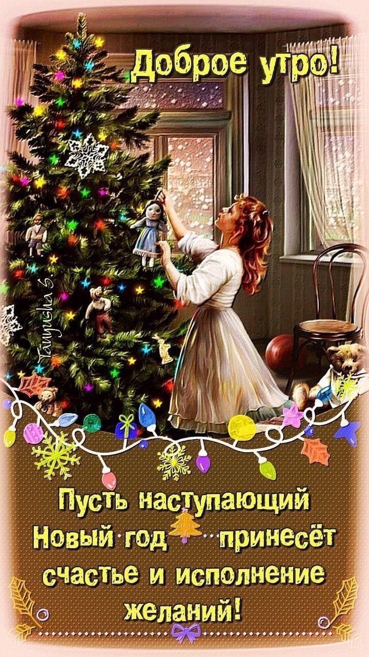 Фото Крылья