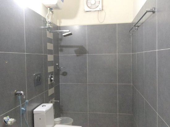 Фото Hotel Pearl Residency