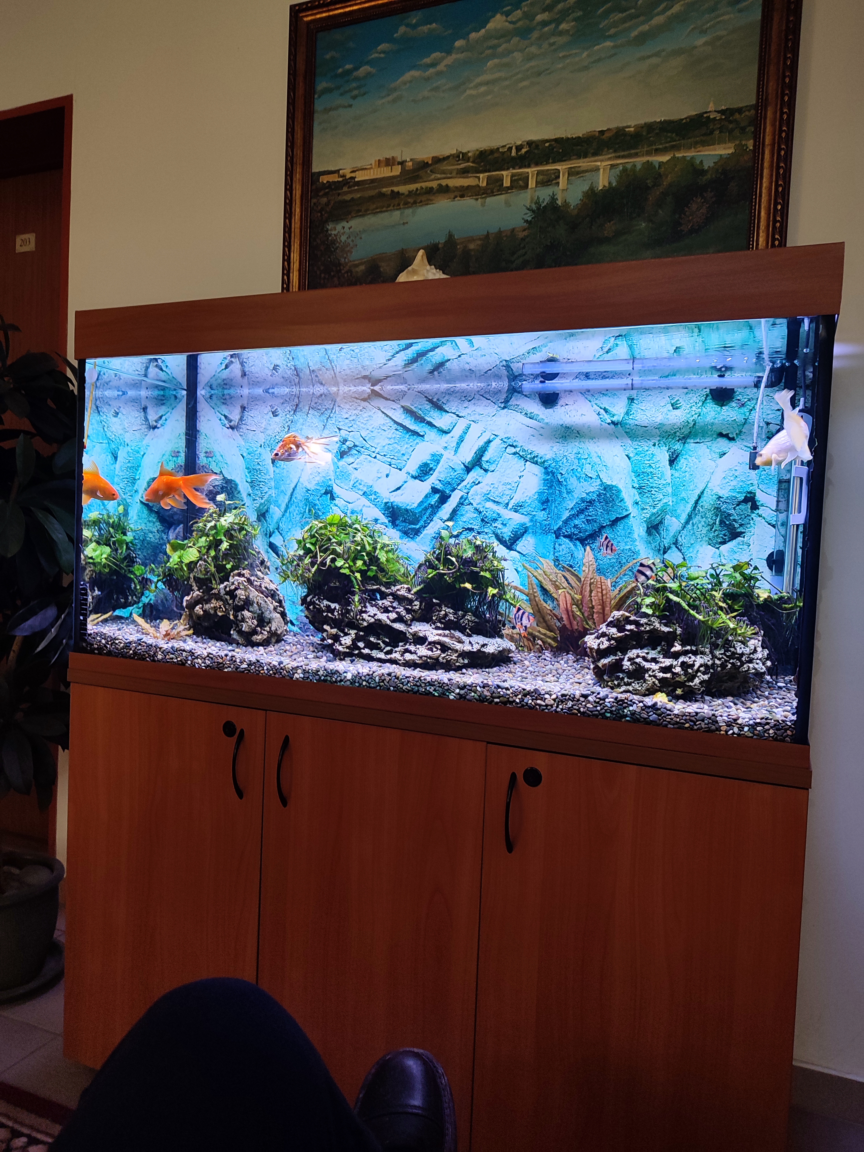 Фото Интермашотель