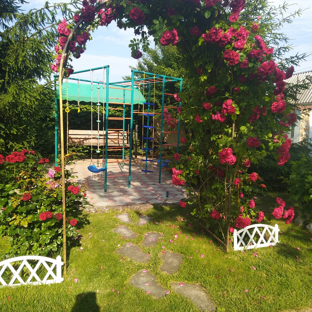 Фото Ивушка