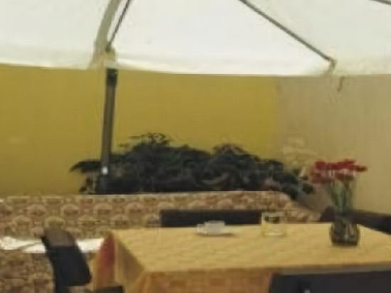 Фото Alexandria Hotel