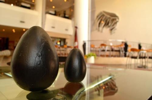 Фото Gran Hotel Presidente