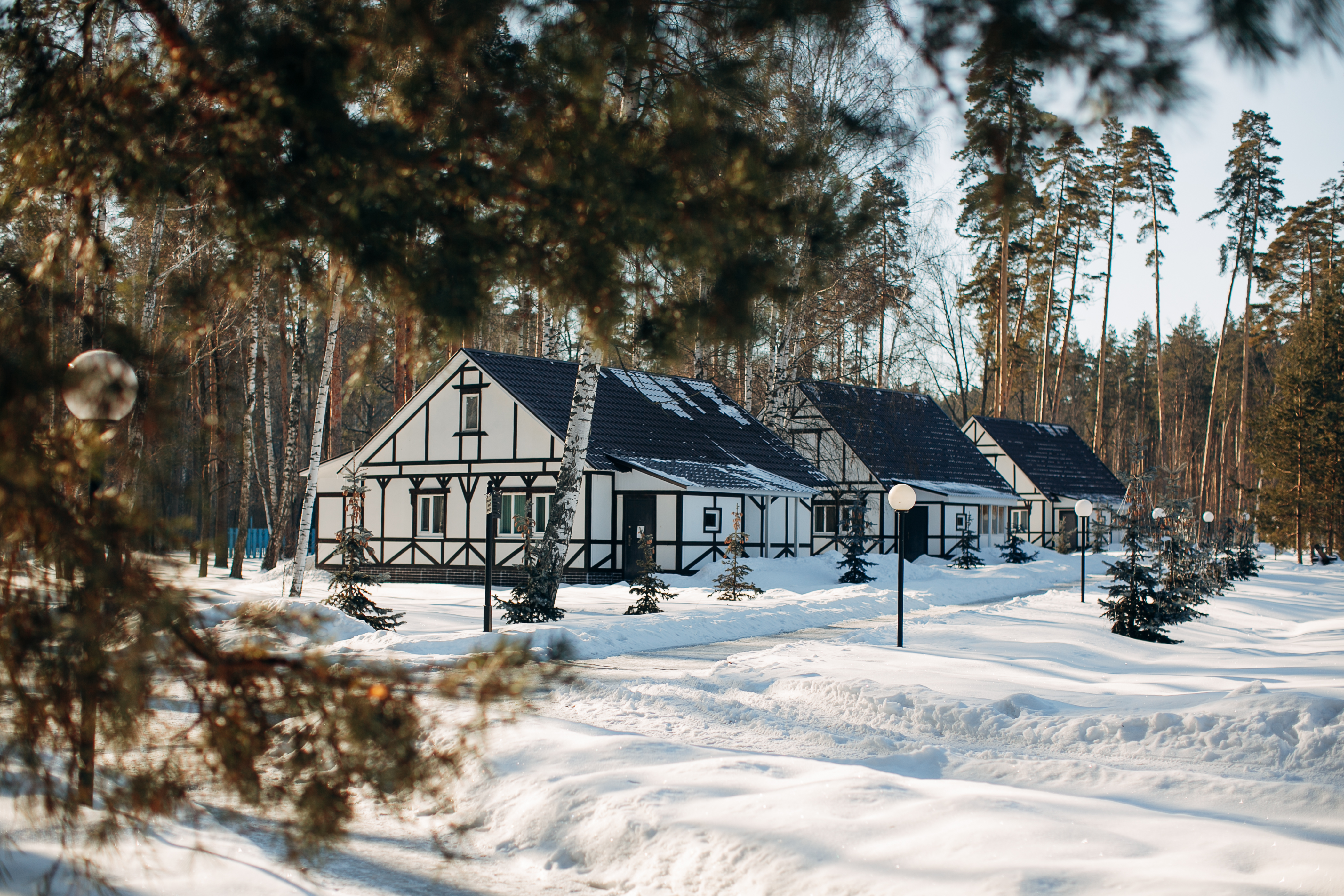 Фото Галдым