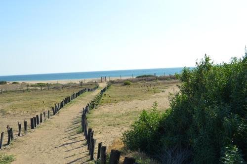 Фото Trafalgar Polo Club