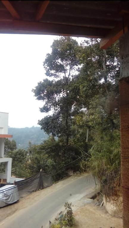 Фото The Lover Stay