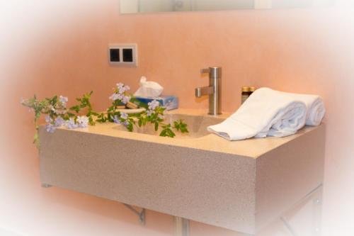 Фото Son Ametler