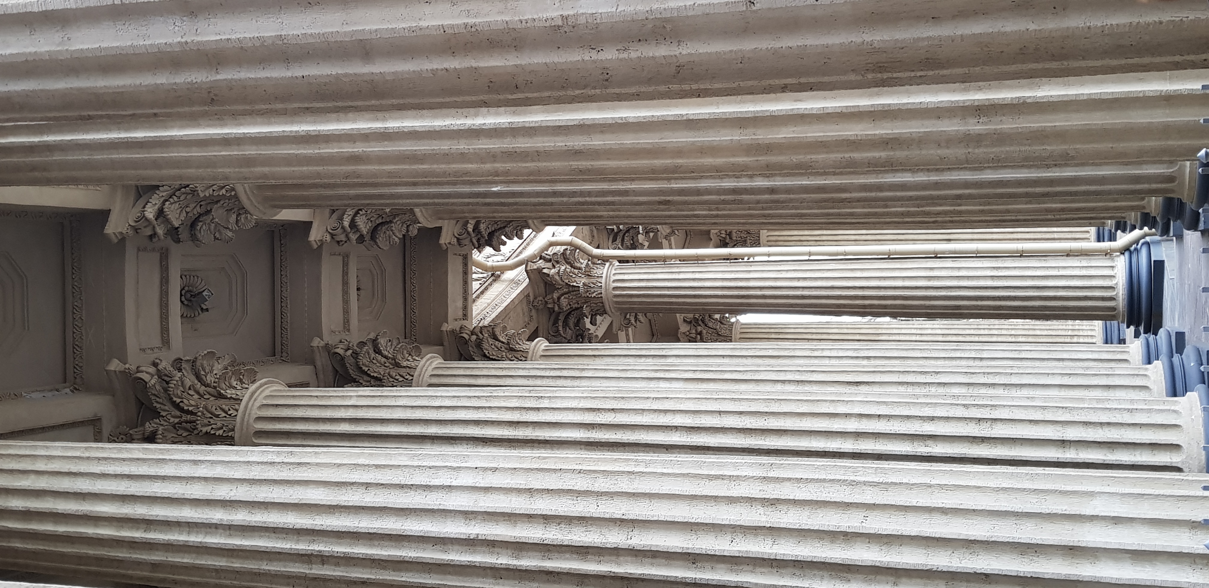 Фото Рапсодия