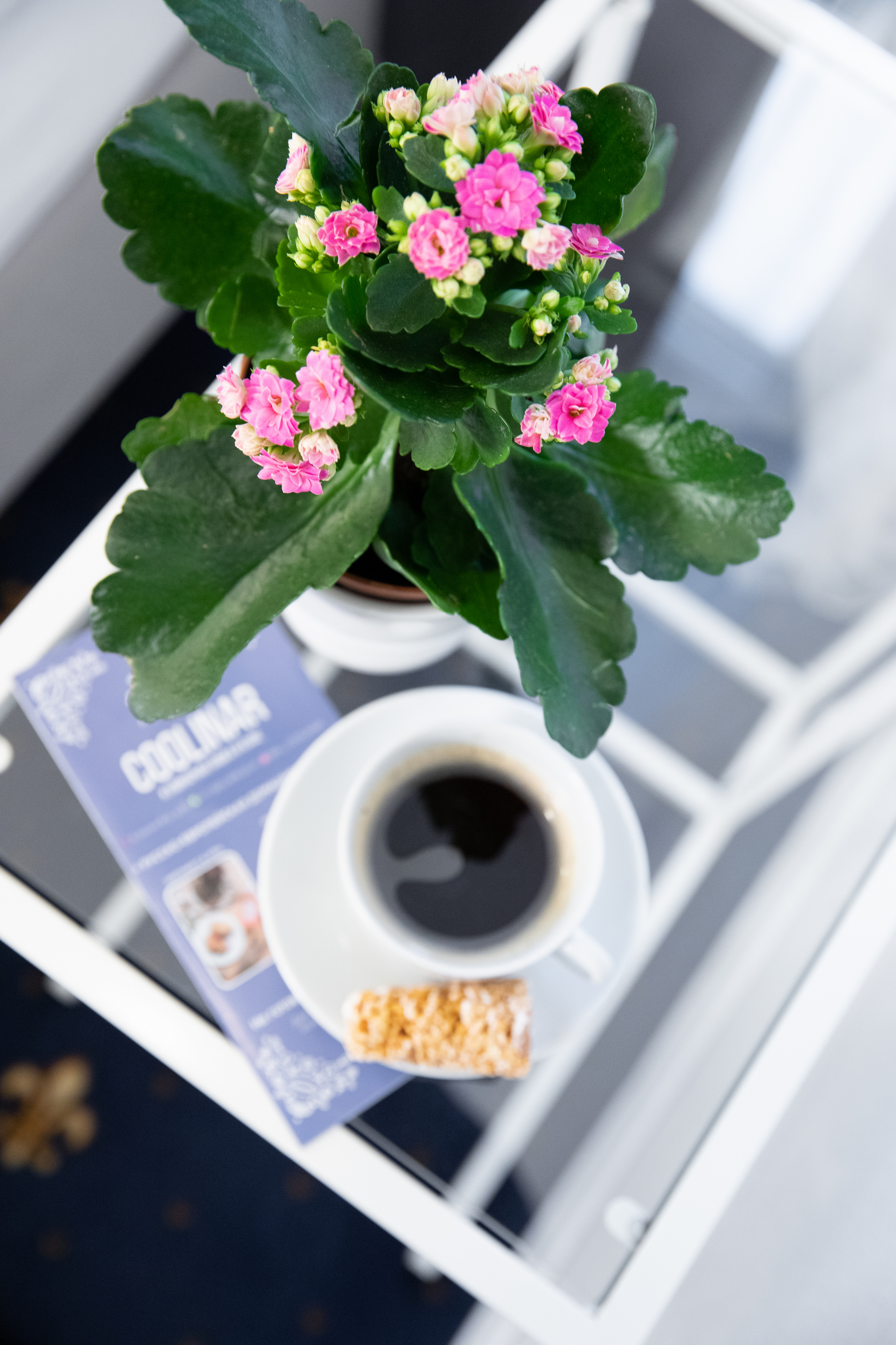 Фото Вояжер