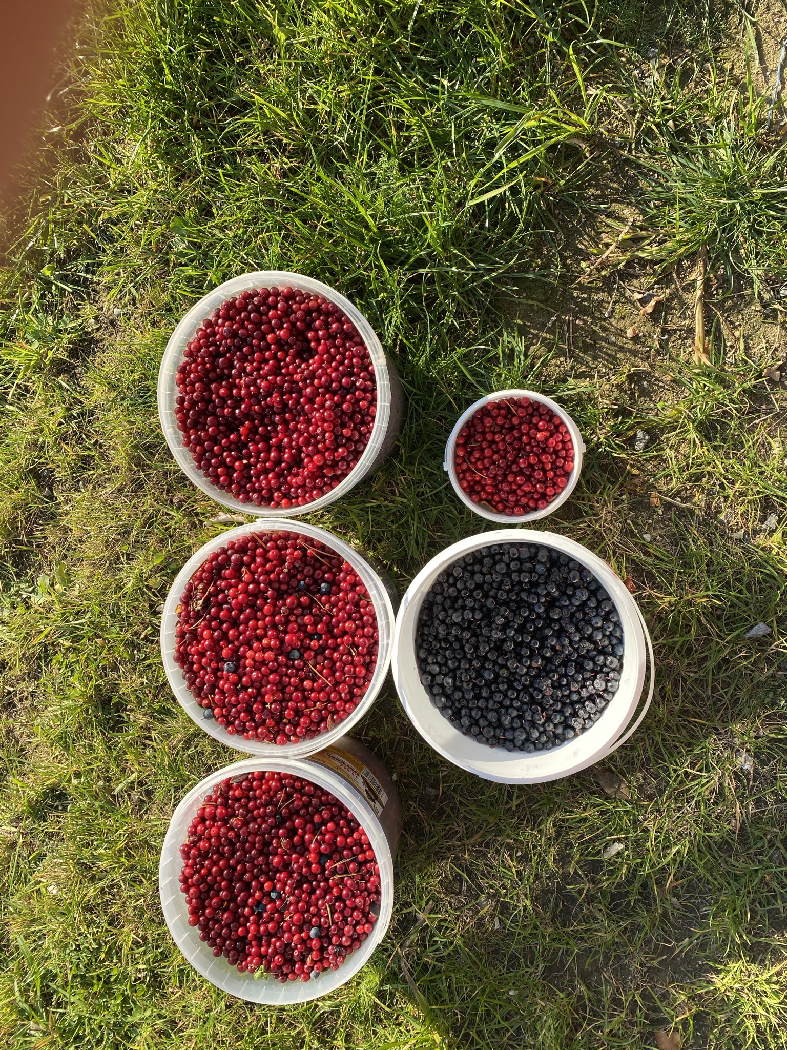 Фото Куйтто