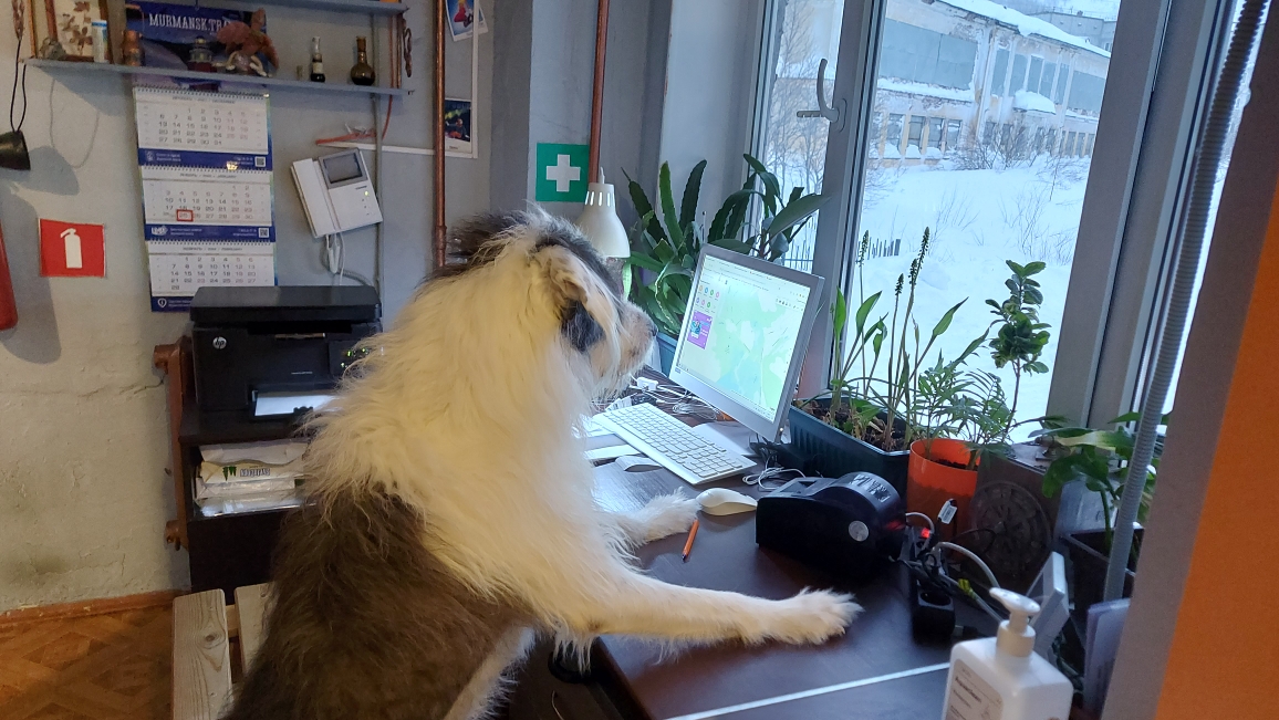 Фото Акка Книбекайзе