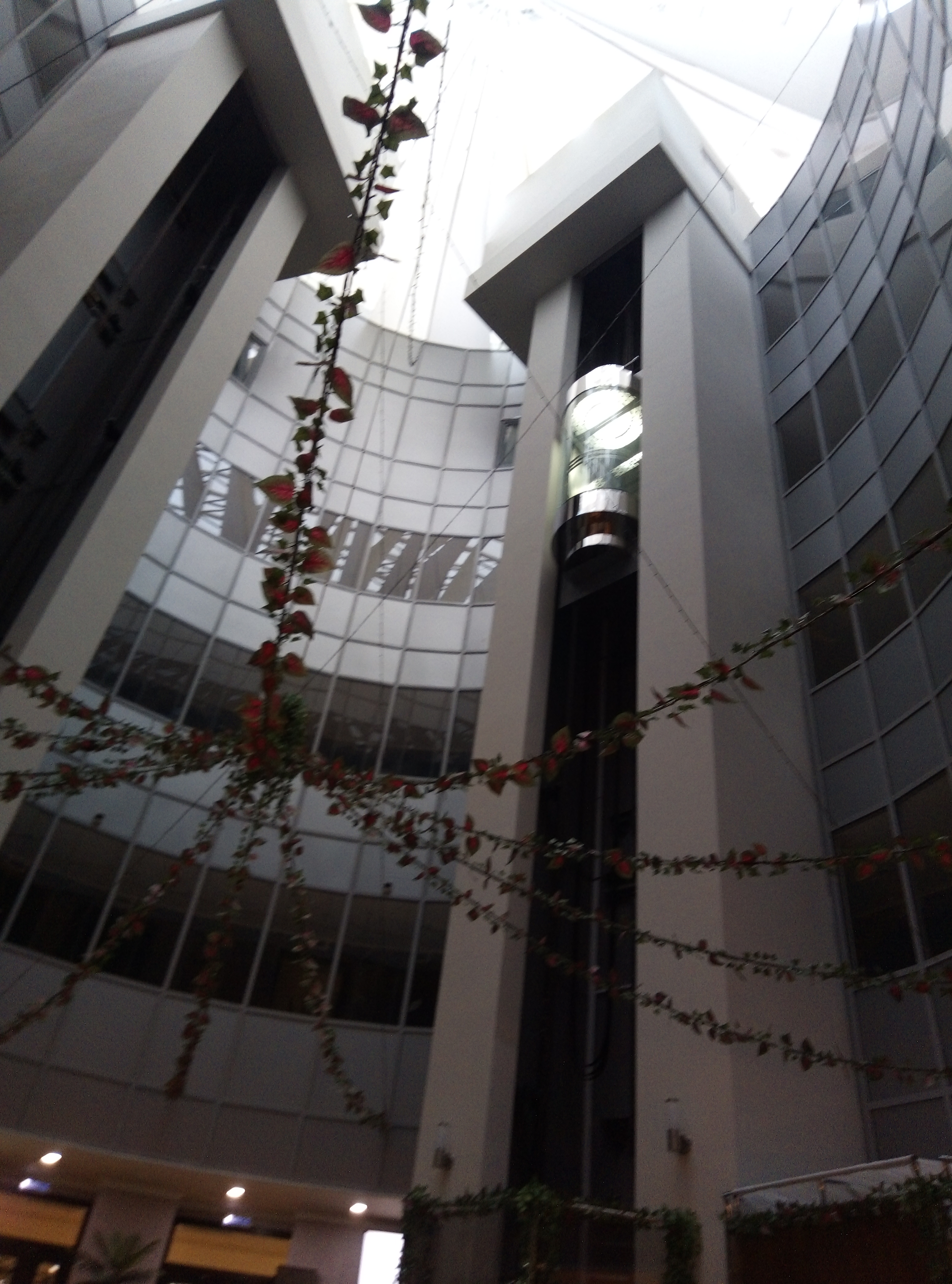 Фото Космос