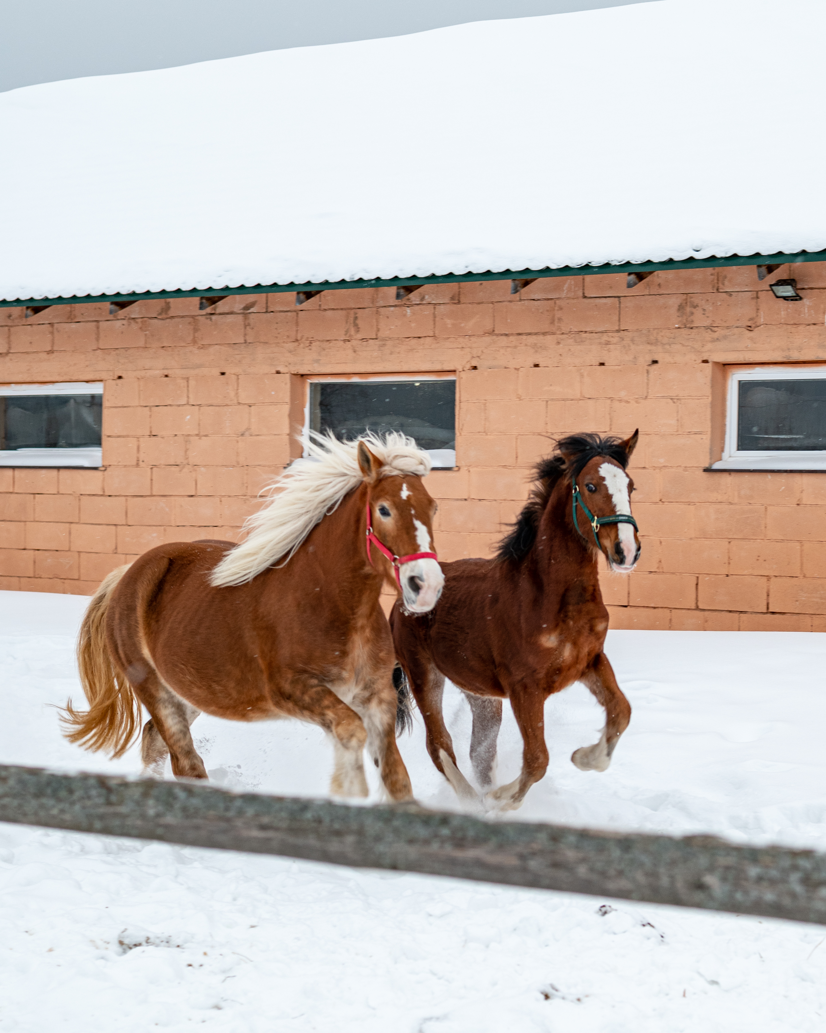 Фото Эко клуб на Ферме