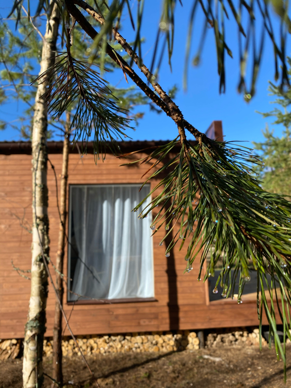 Фото Дом Китов