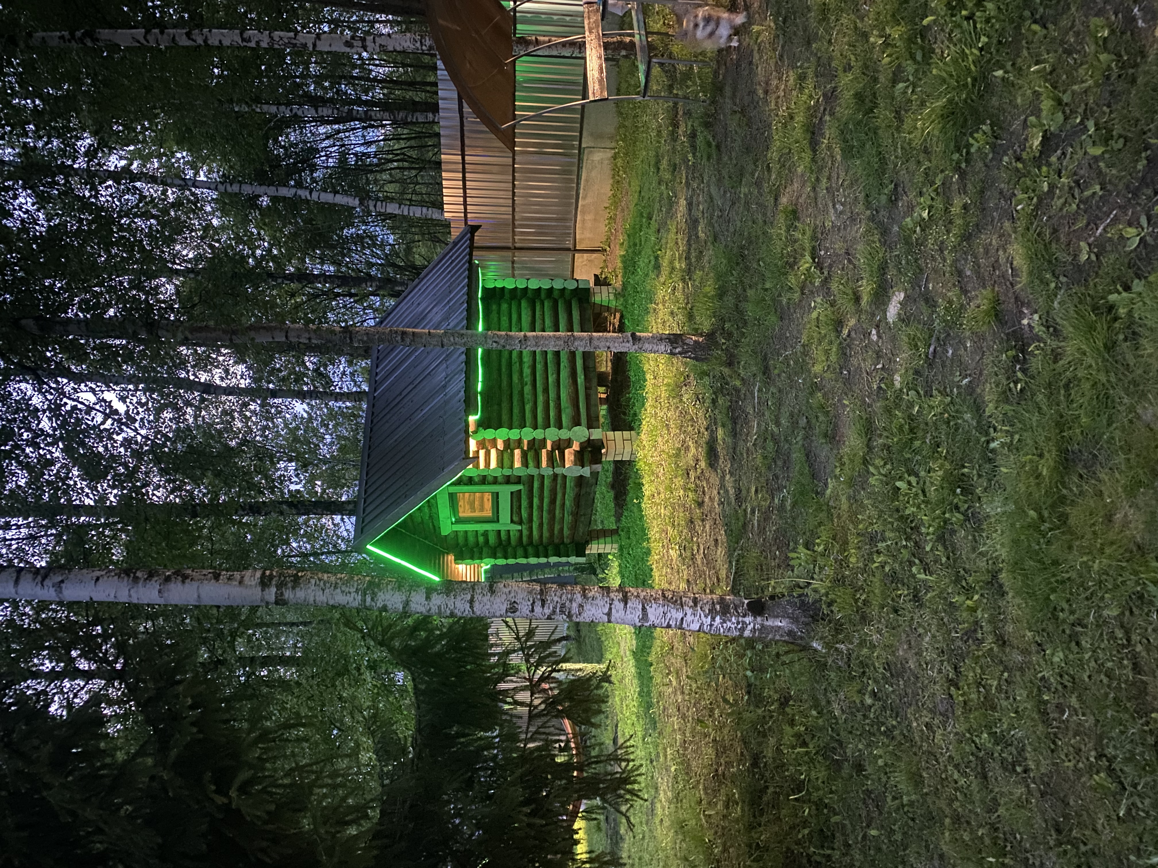 Фото Забава67