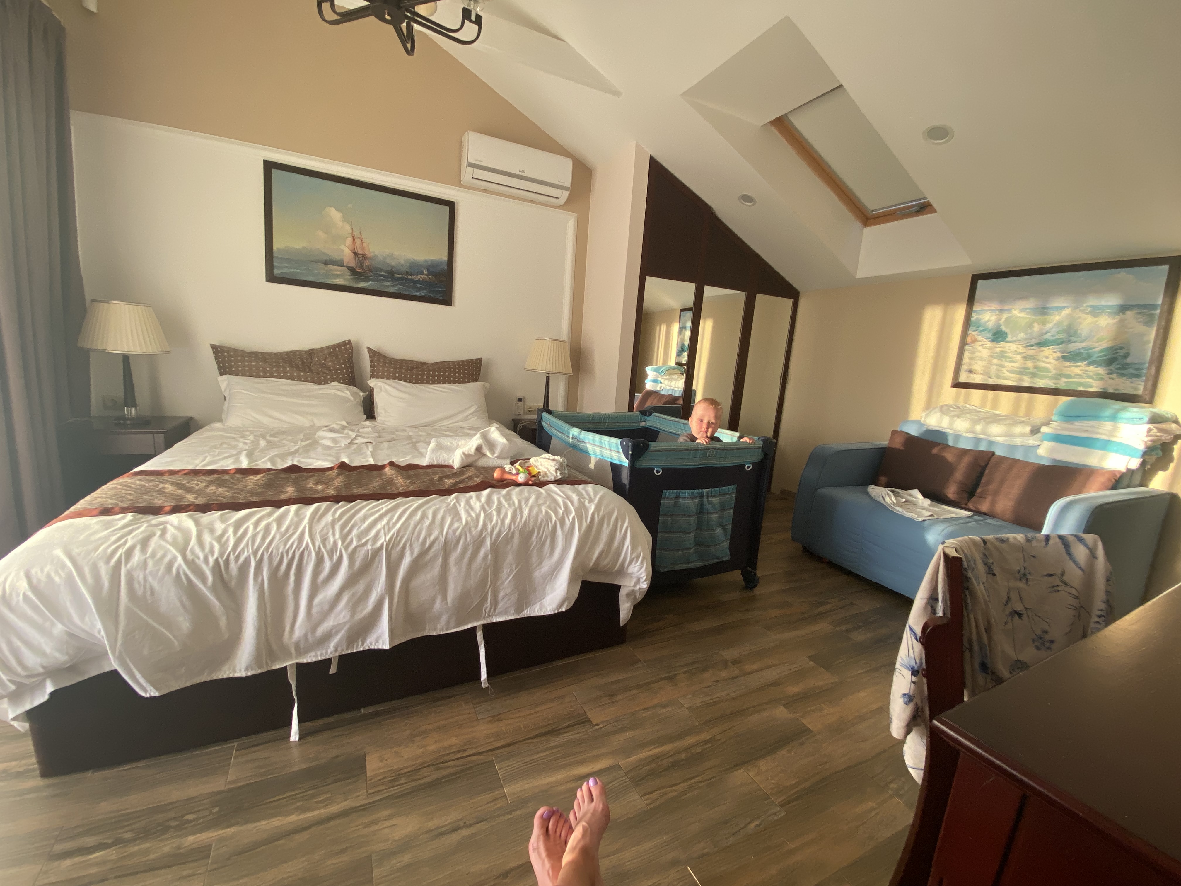 Фото Розмарин