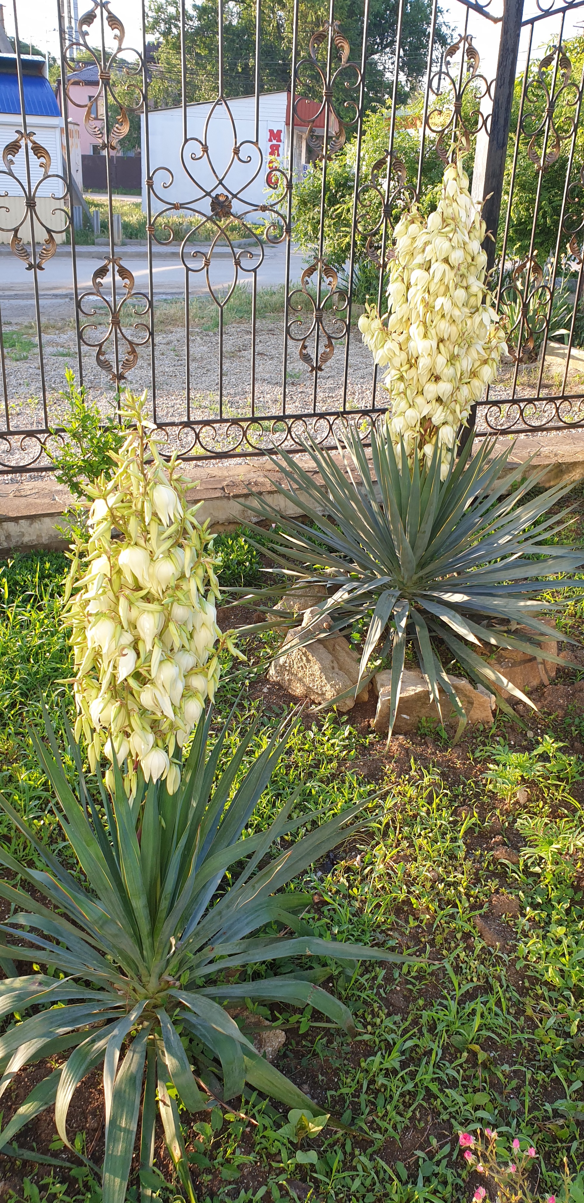 Фото Русская усадьба