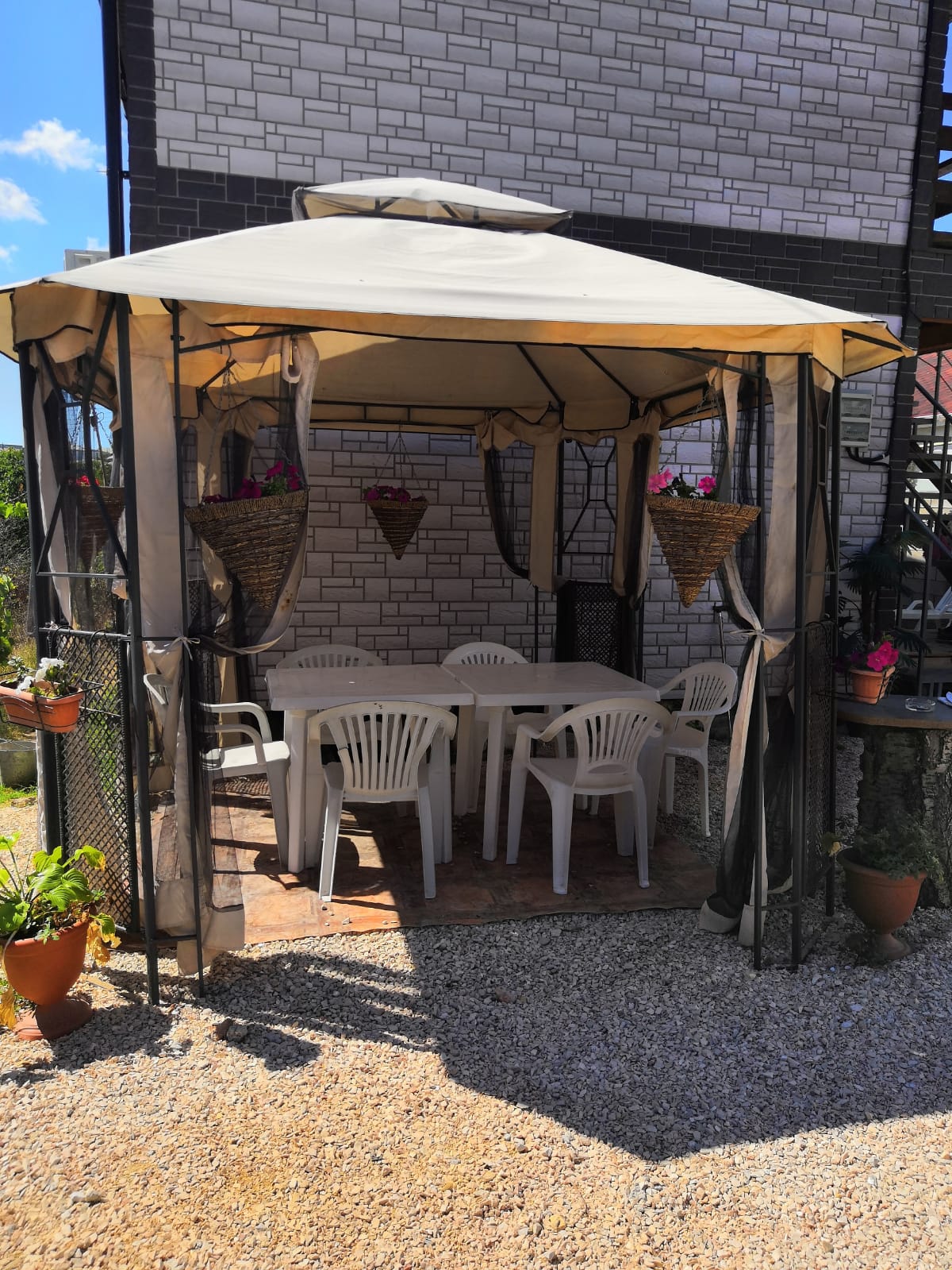 Фото Совёнок