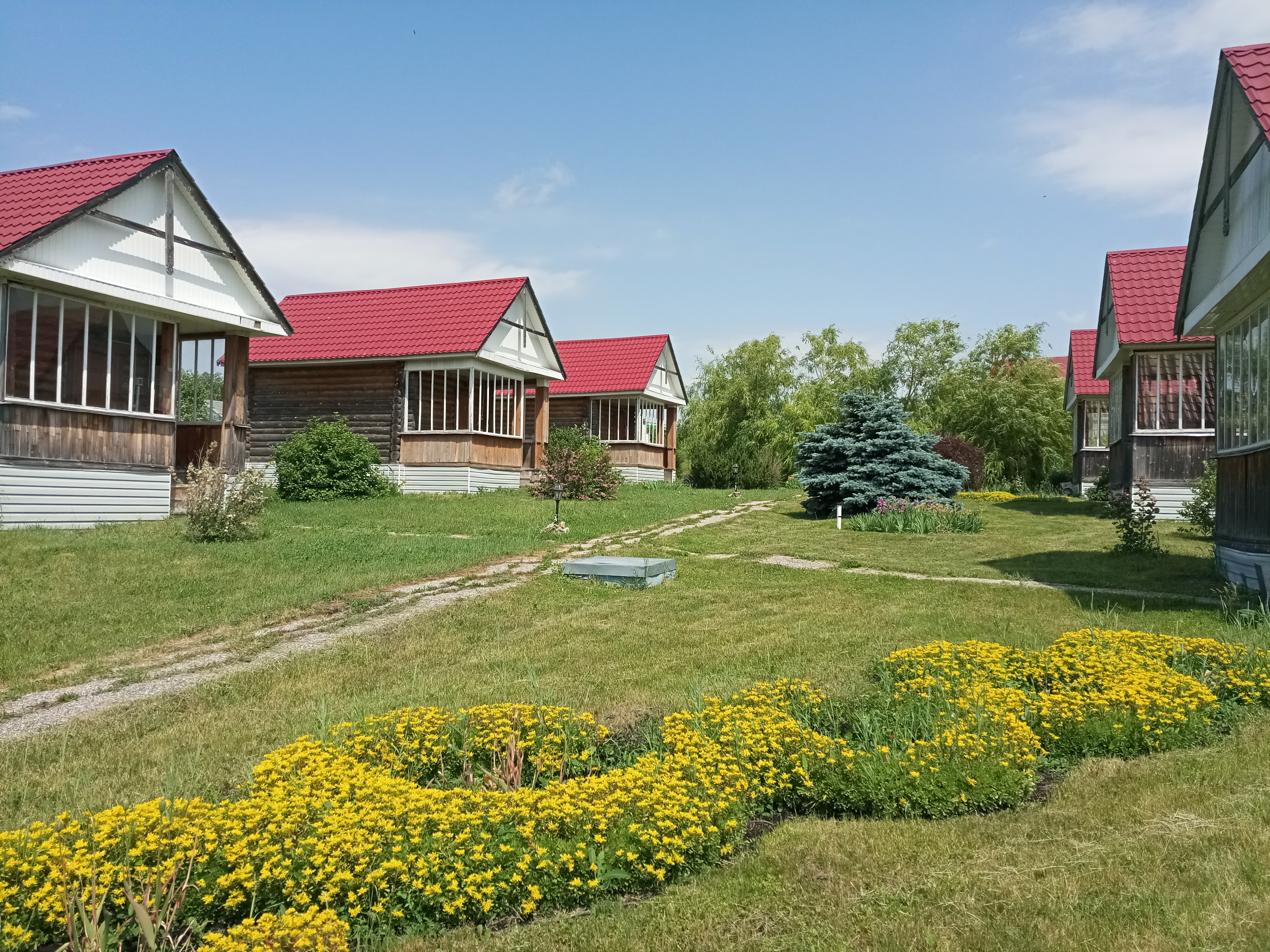 Фото Горизонт