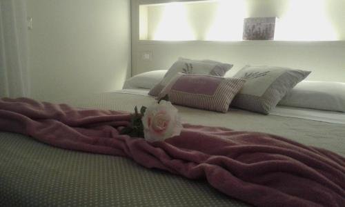 Фото Dreams Guest House