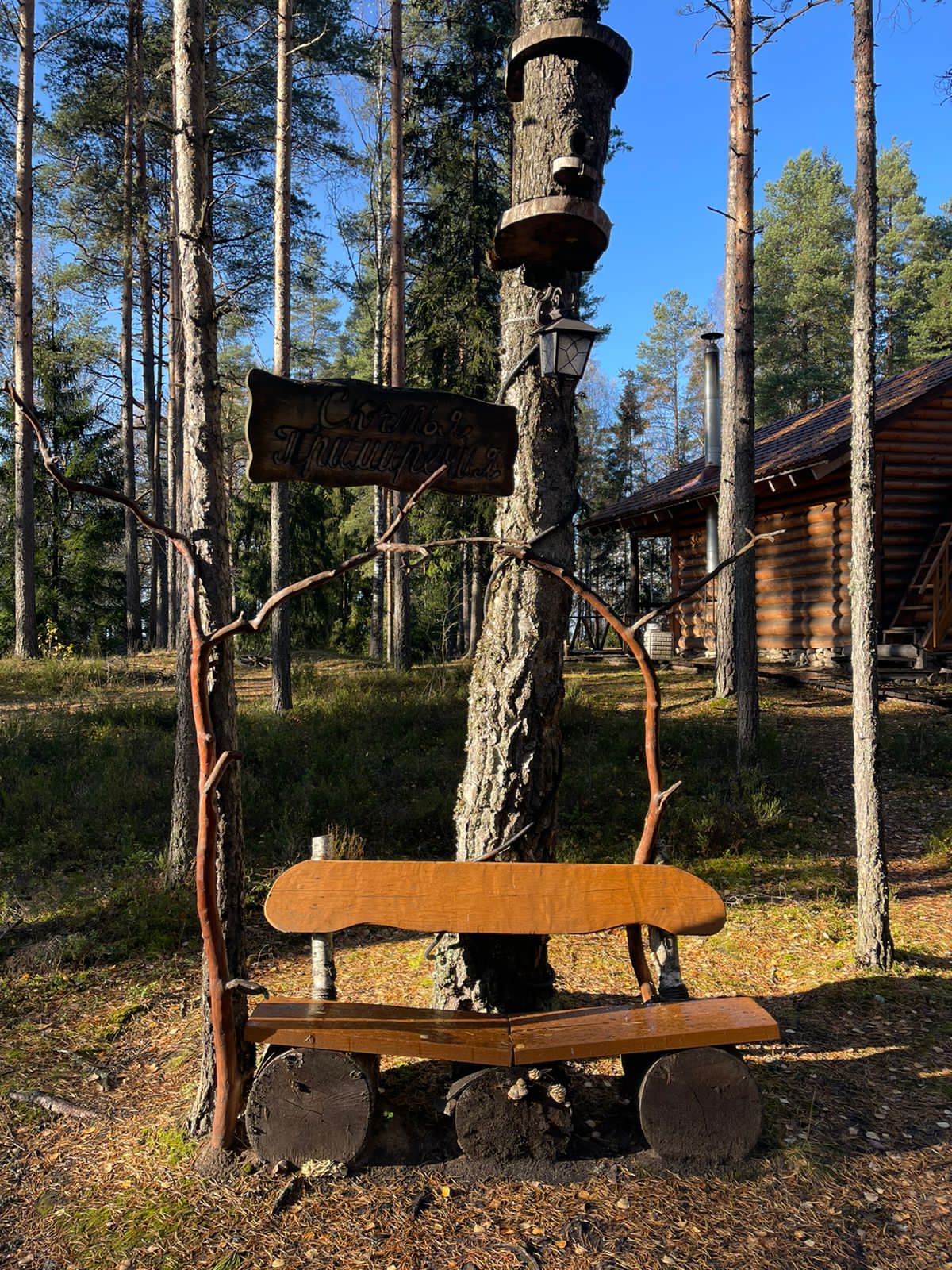 Фото Кургала