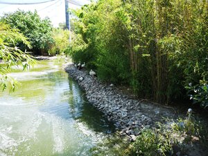 İzmir Doğal Yaşam Parkı (Sasalı Mah., Ahmet Piriştina Cad., No:3, Çiğli, İzmir, Türkiye), hayvanat bahçeleri  Çiğli'den