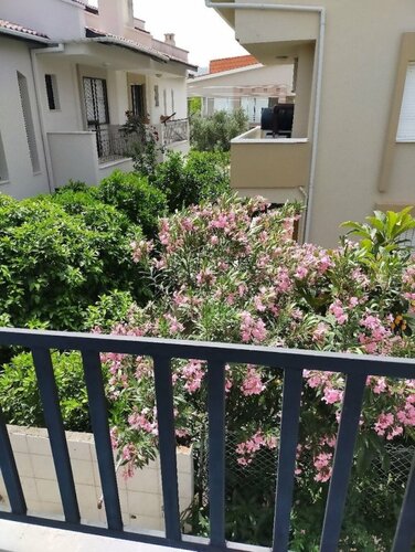 Гостиница Akdeniz Apart Hotel в Мармарисе