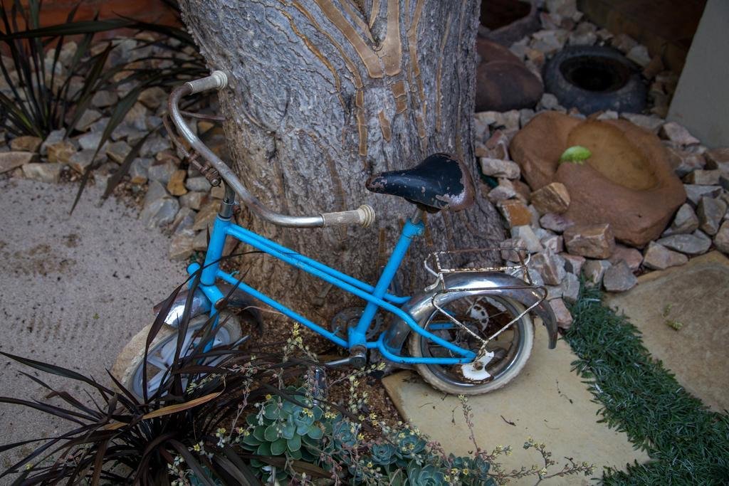 Фото 37 on Charles