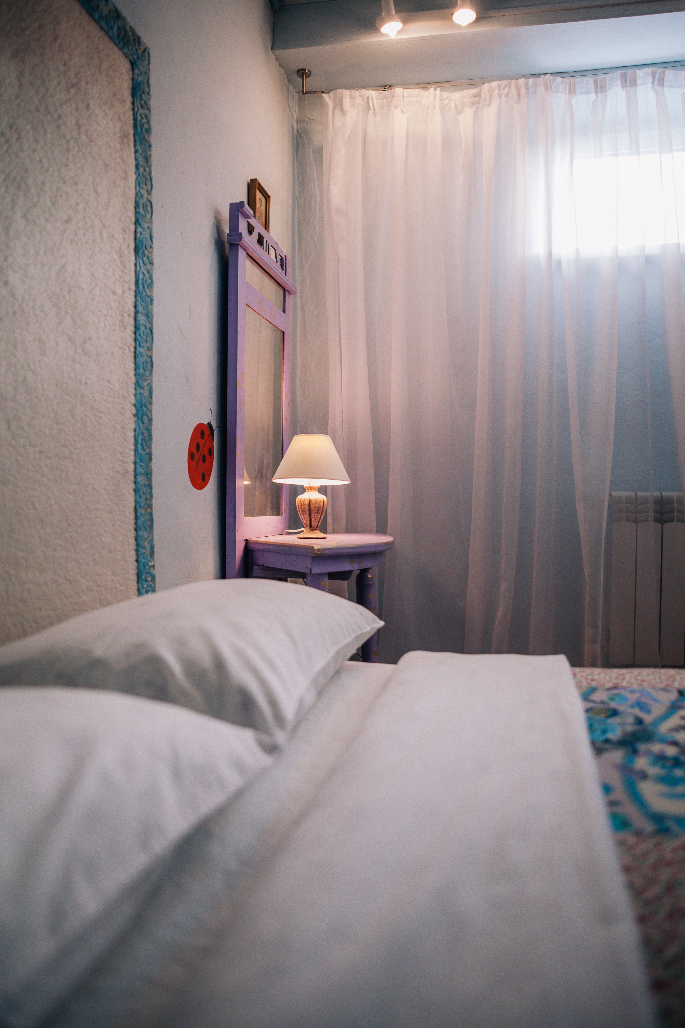 Фото Лавандовый сад