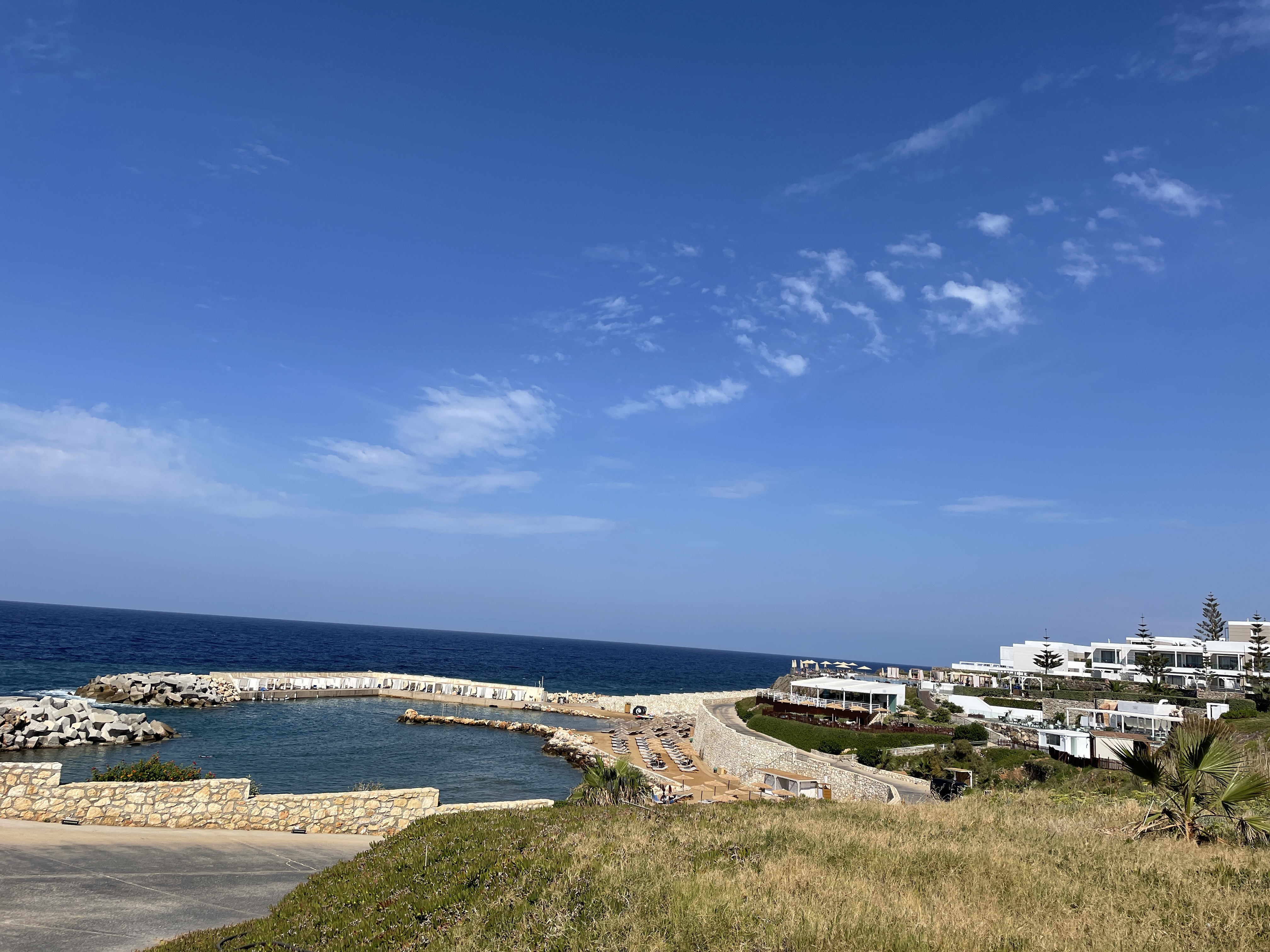 Фото The Royal Blue