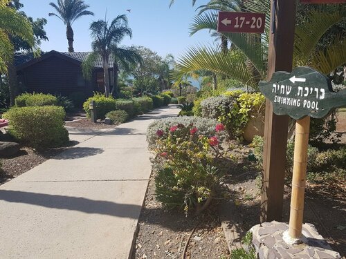 Гостиница Ramot Resort Hotel в Голанских Высотах