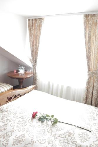 Фото Hotel Slavia