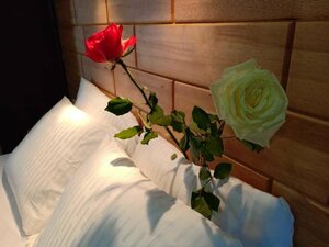 Гостиница Afrilodge