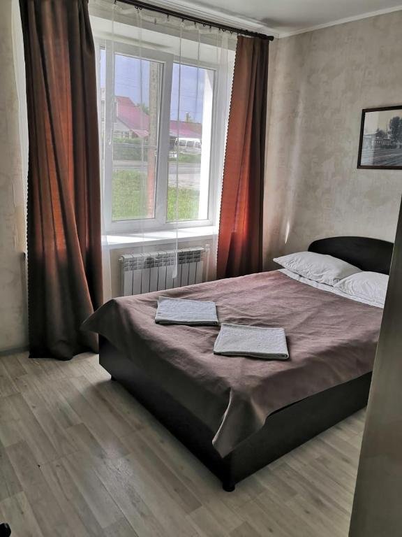 Фото Базилик