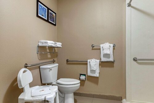 Гостиница Comfort Suites Waco North - Near University Area в Лейси-Лейквью