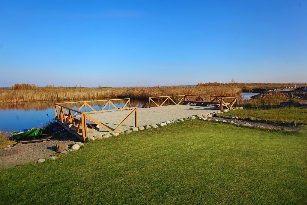 Фото Хитрый Лис