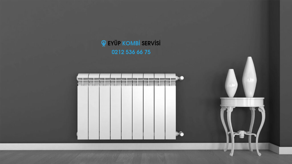 Appliance repair Eyup Boiler Service, Istanbul, photo