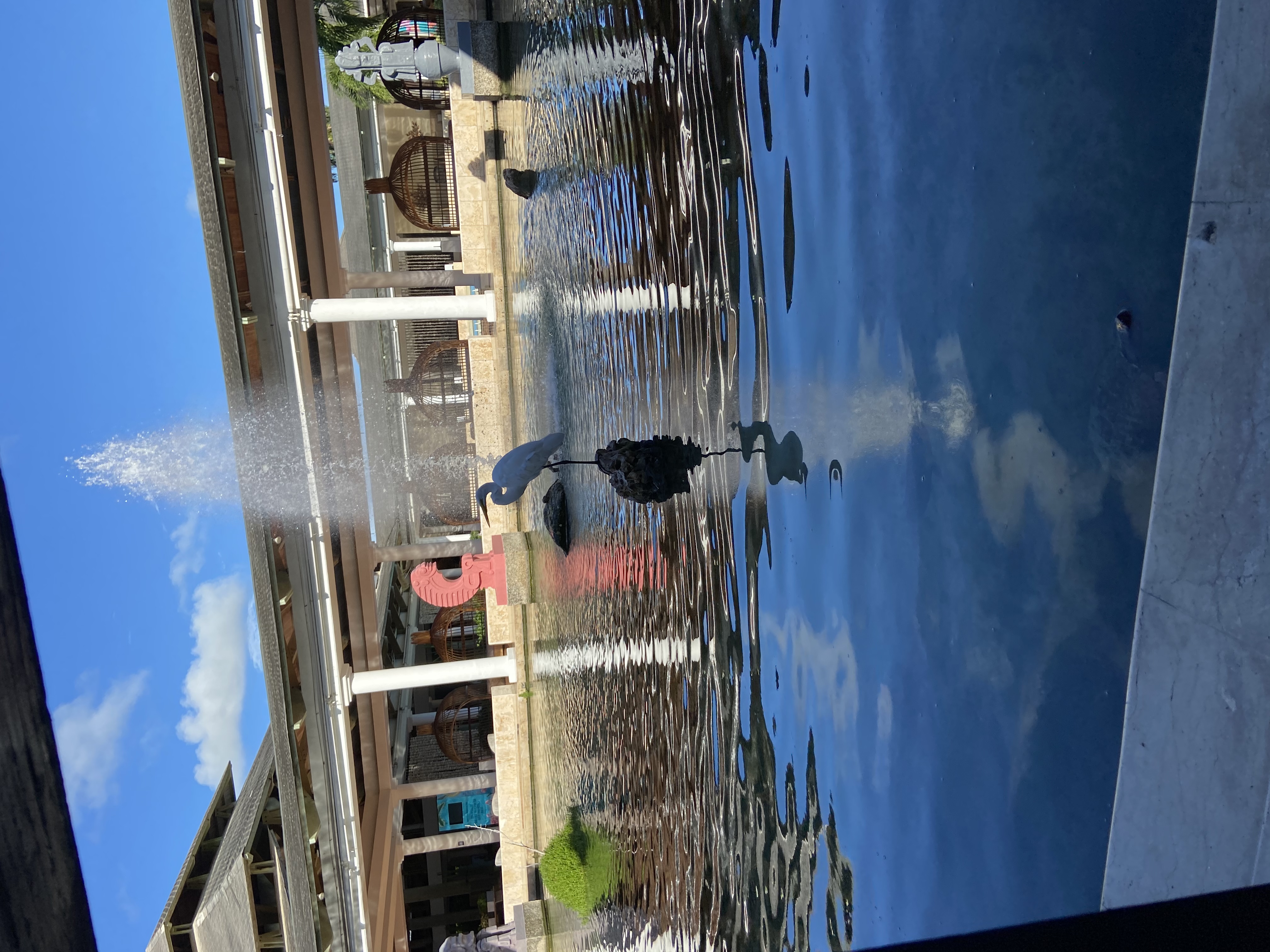 Фото Catalonia Bavaro Beach Golf And Casino Resort