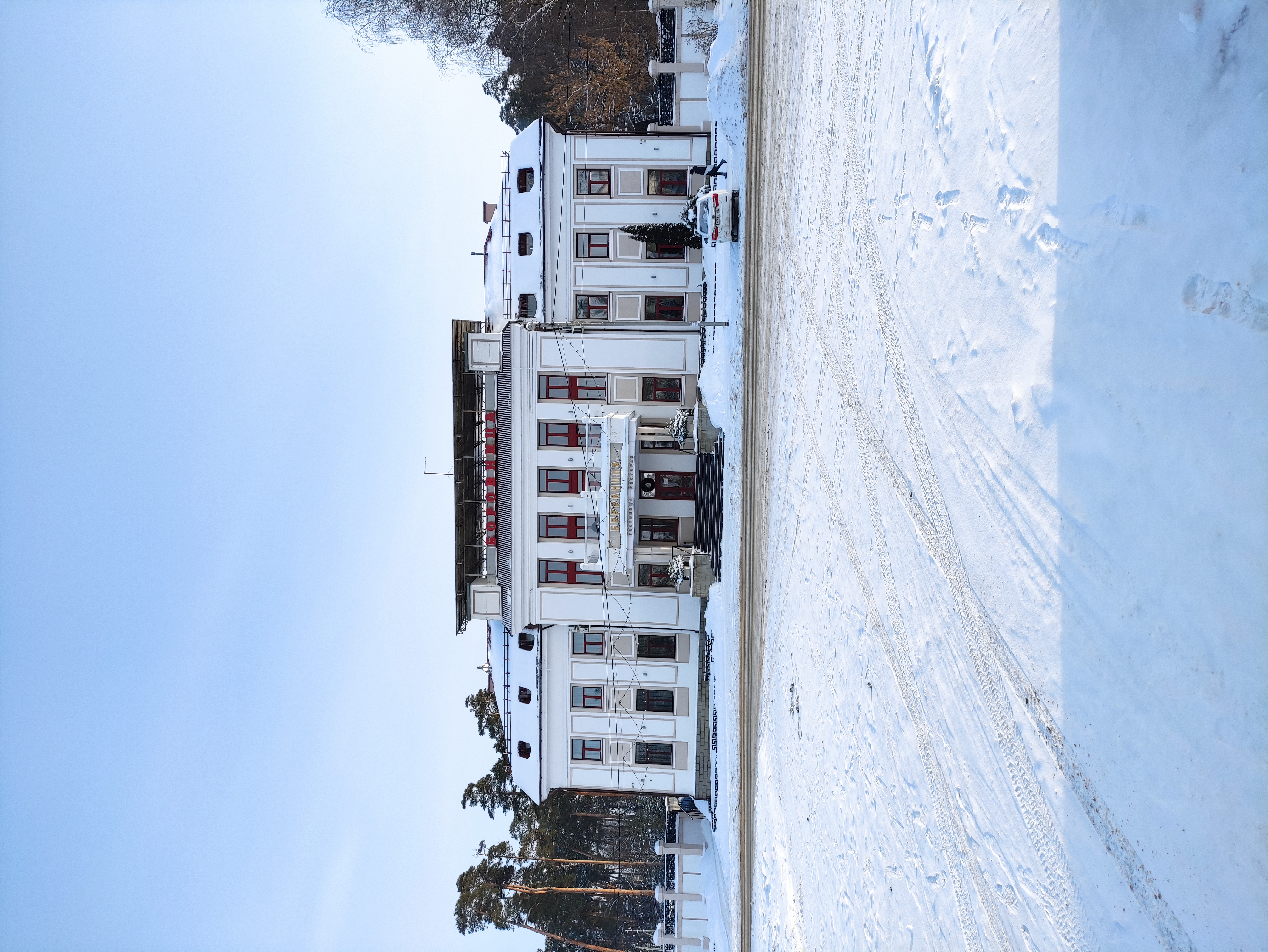 Фото Боровница