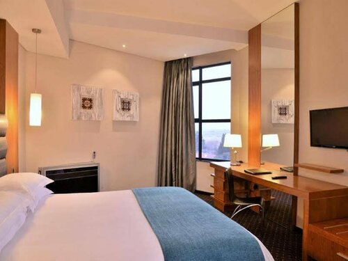 Внешний вид отеля Premier Hotel Or Tambo в Городе Метрополитенского Муниципалитете Экурхулени, фото 4