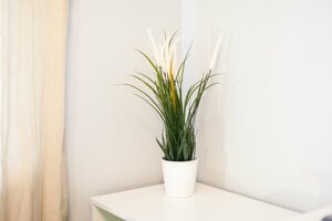 RentPlaza