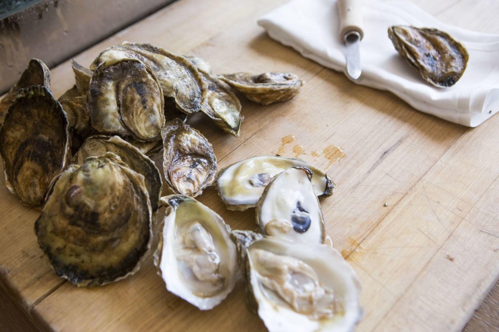 Фото Four Seasons Hotel Miami