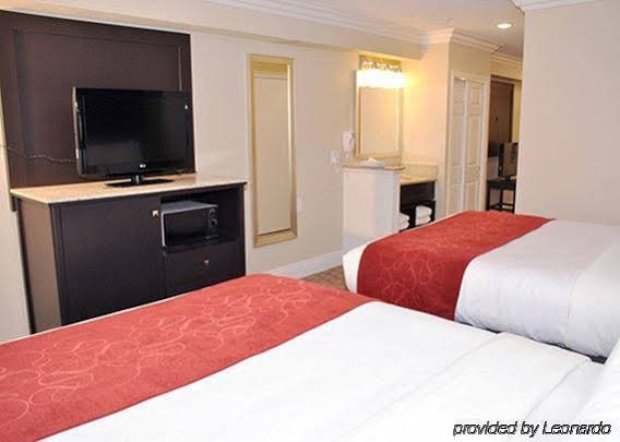 Фото Comfort Suites San Clemente Beach