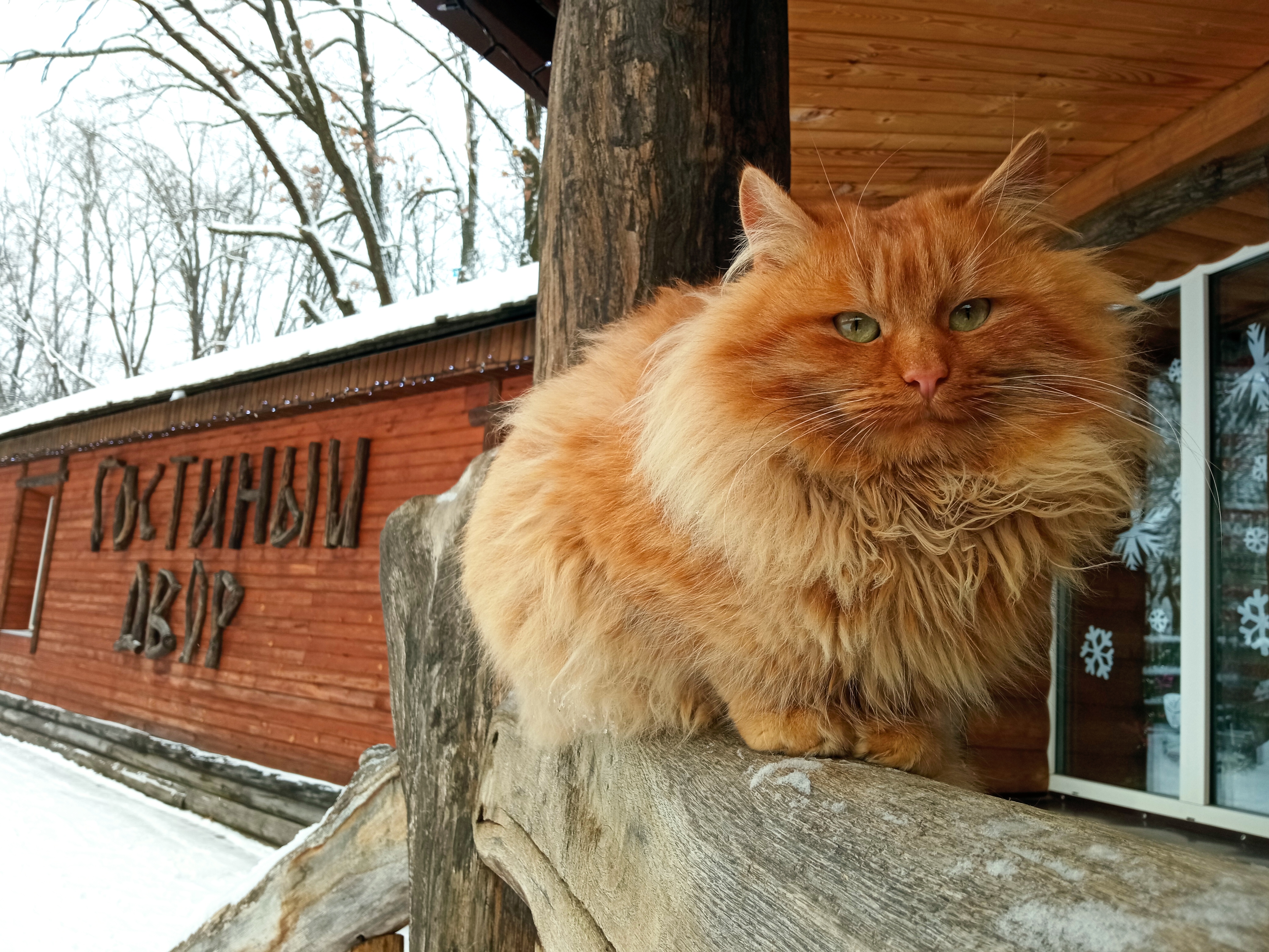 Фото Знаменская Богатырская Застава